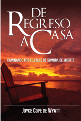 De regreso a casa