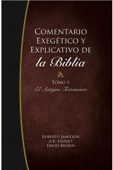 Comentario Exegetico tomo 1