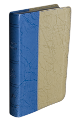 Biblia RVA-2015 Dos tonos piel europea