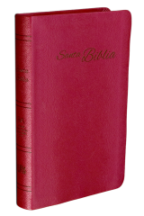 Biblia RVA-2015 Rojiza piel europea