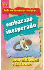 Un embarazo inesperado
