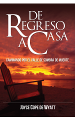De regreso a casa