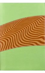 BIBLIA DE ESTUDIO ARCO IRIS, DOS COLORES