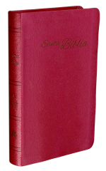 Biblia RVA-2015 Rojiza piel europea