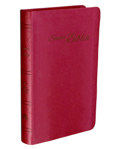 Biblia RVA-2015 Rojiza piel europea